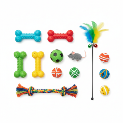 Chew & Fetch Toy Set